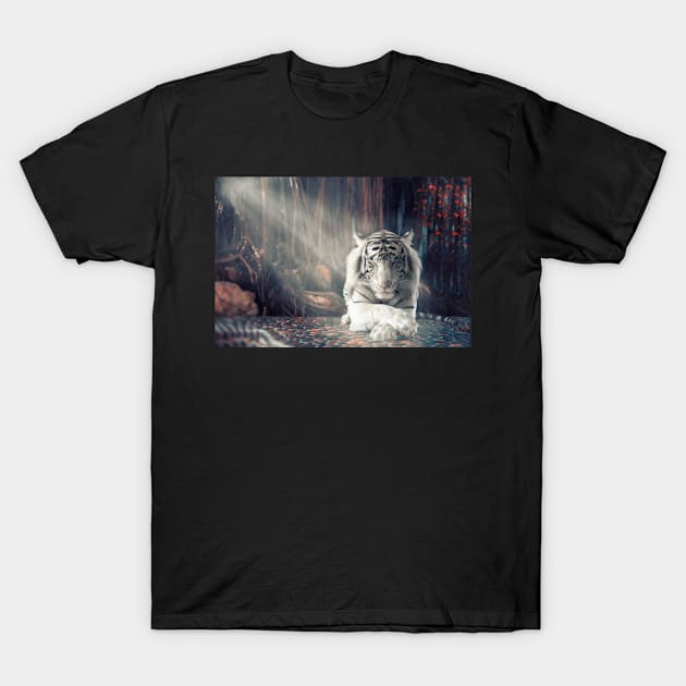 Tiger photograph T-Shirt by Best designing 